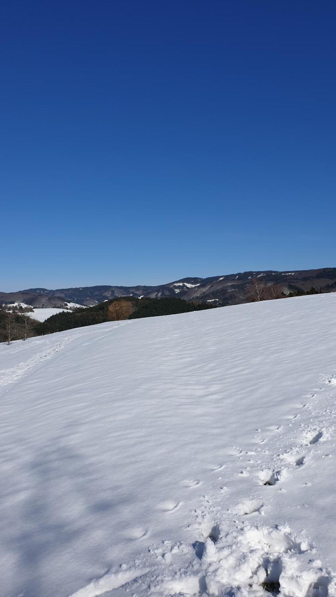 Kleines Wiesental Haus Panorama Mit Alpenblickヴィラ エクステリア 写真